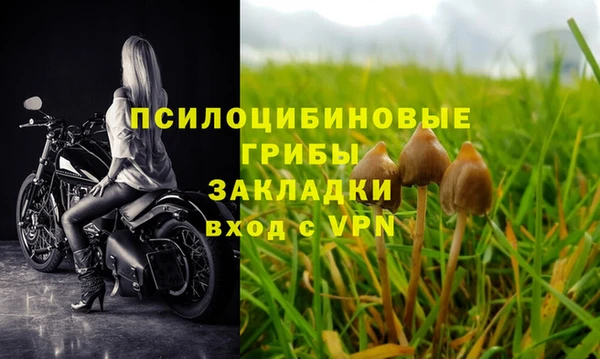первитин Белоозёрский