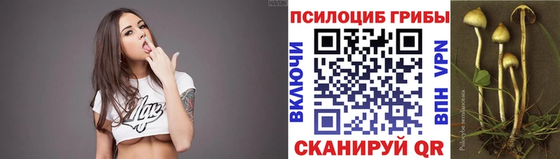 Псилоцибиновые грибы GOLDEN TEACHER  сколько стоит  Чегем 